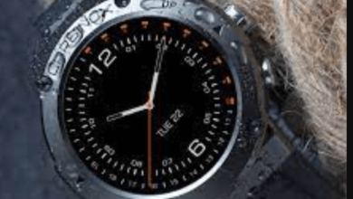carbinox watch