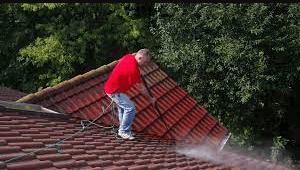 tile roof cleaning