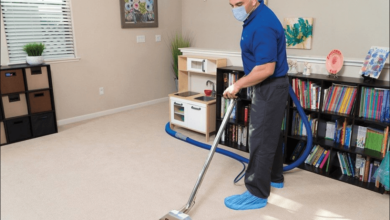 carpet cleaning naples fl