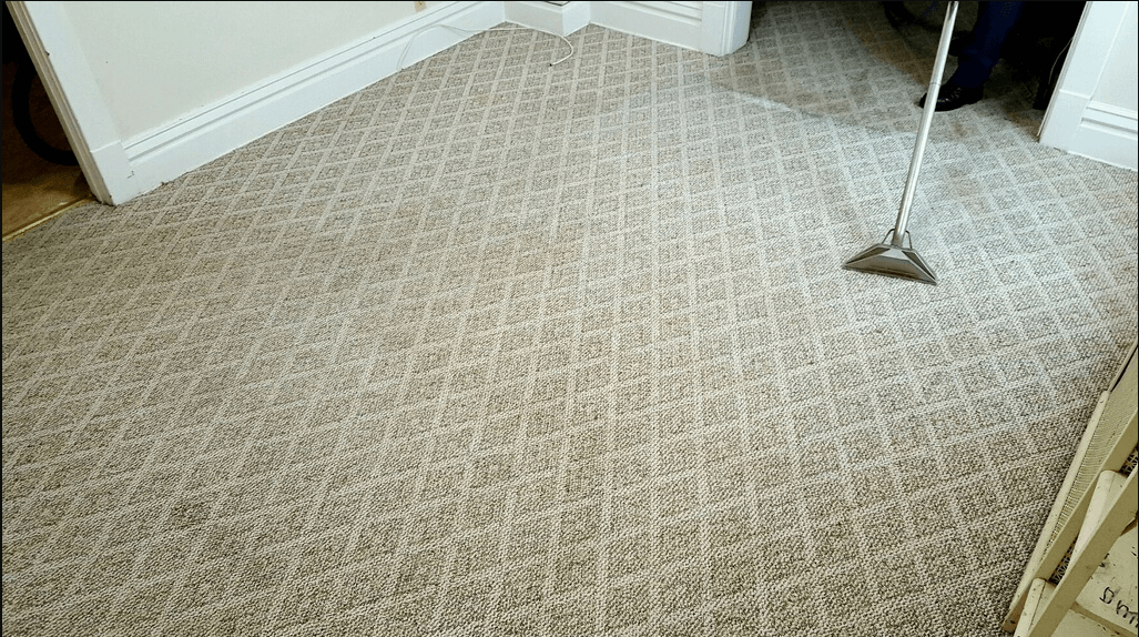 carpet cleaning erie pa