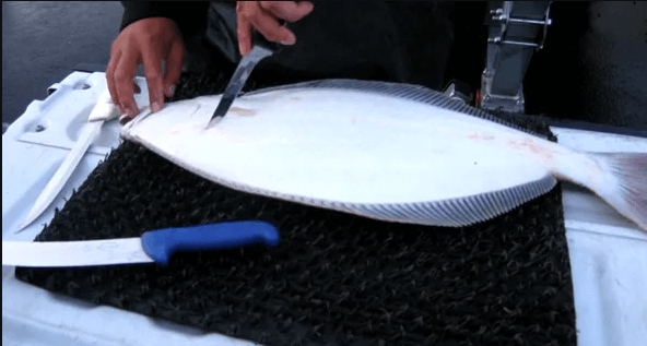 fish cleaning board
