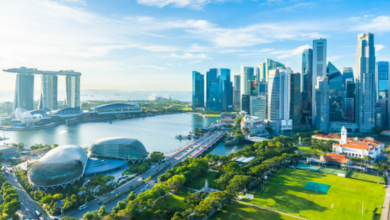Navigating Your Move to Singapore With a Trusted Real Estate Agent