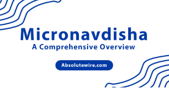 Micronavdisha Com