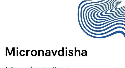 Micronavdisha Website