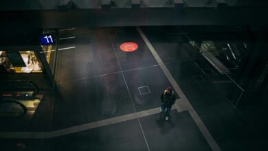 digital hub support services