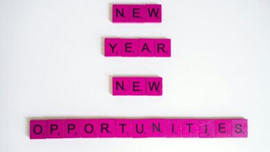 creative momentum starts global opportunities