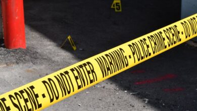 registry entries investigated 3711795505 3501989188 3512915117 3289481790 3889046490